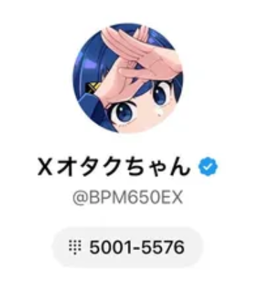 自分のXナンバーがバレる
